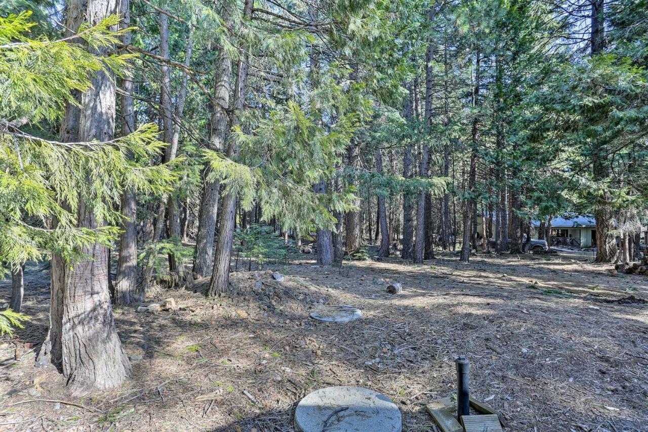 Base Camp Lassen Home 13 Mi To Volcanic Natl Park Shingletown Exterior photo
