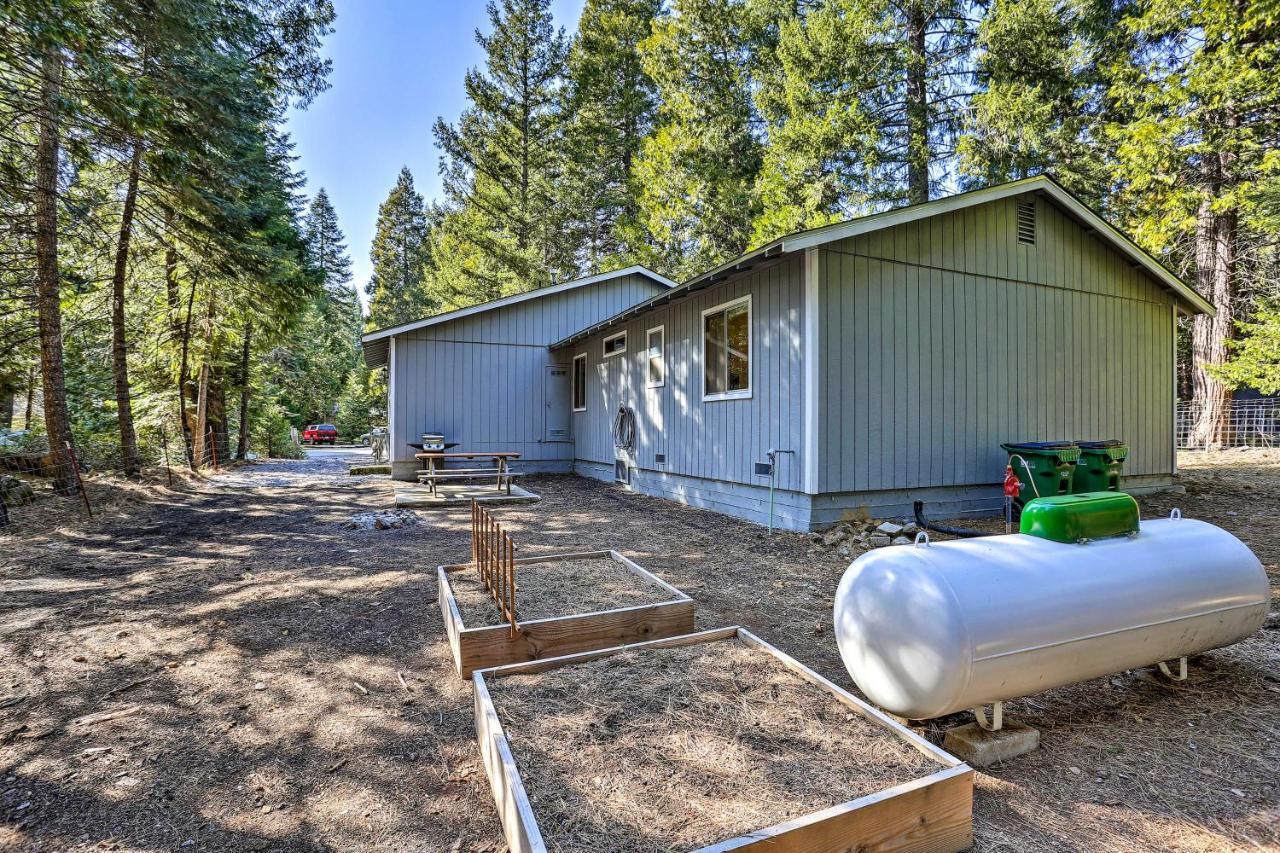 Base Camp Lassen Home 13 Mi To Volcanic Natl Park Shingletown Exterior photo